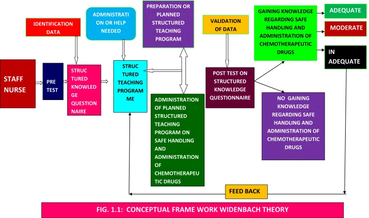 FIG. 1.1:  CONCEPTUAL FRAME WORK WIDENBACH THEORY 