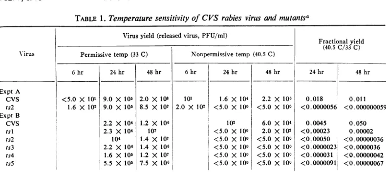 TABLE 1. Temperature sensitivity of CVS rabies virus and mutantsa