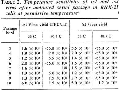 TABLE 2. Temperature sentsitivity of tsi and ts2virus after unidiluted serial passage in BHK-21