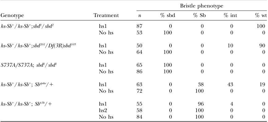 TABLE 2