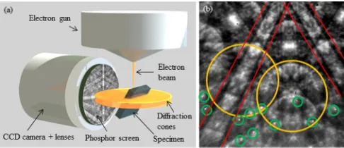 FIG. 1. (Color online) (a) Illustration of the EBSD detection