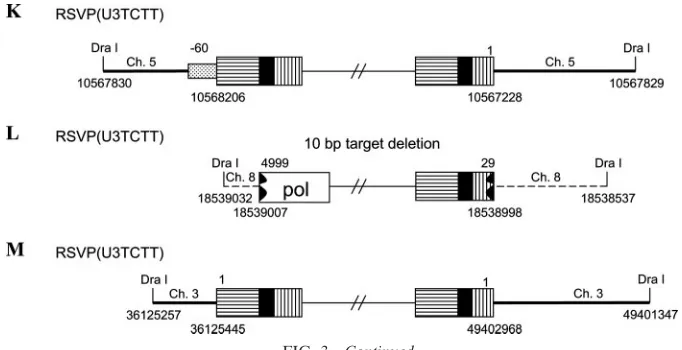 FIG. 3—Continued.
