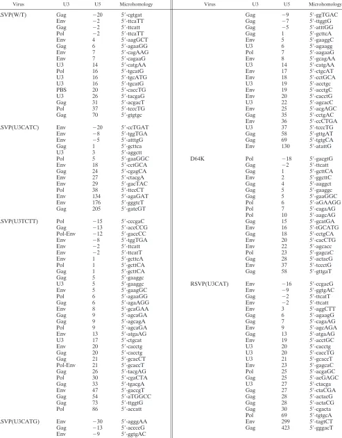 TABLE 4. Microhomology at the virus-virus DNA junctionsa