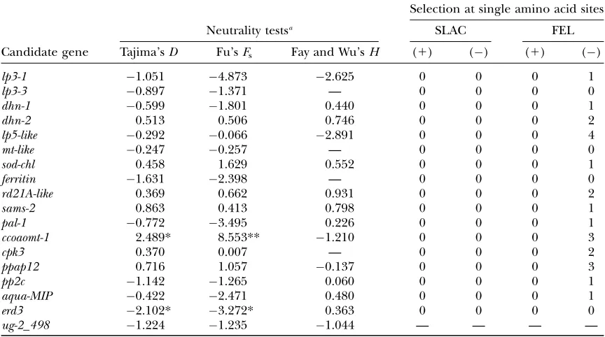 TABLE 3