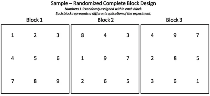 Figure 9.  Illustration: Randomized Complete Block Design and Alpha Lattice Design Samples 