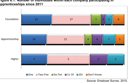 Figure 6.1: Number of individuals within each company participating in 