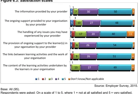 Figure 6.3: Satisfaction scales 