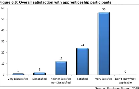 Figure 6.6: Overall satisfaction with apprenticeship participants 