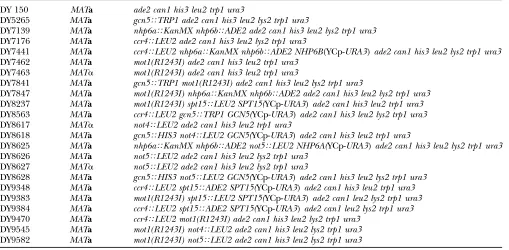 TABLE 1Strain list