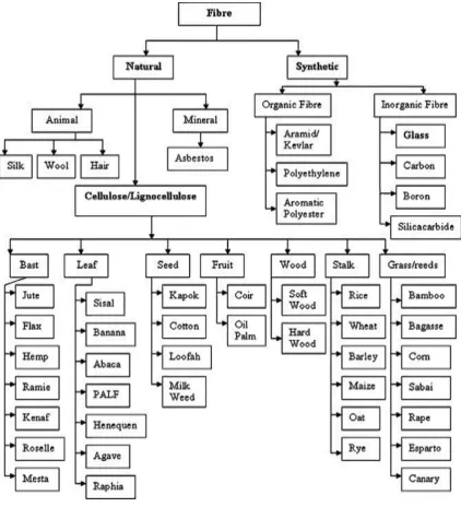 Figure 1. Textile fibre types and their classification (Kadolph & Langford, 2001).  