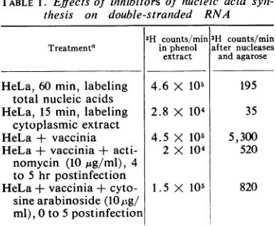 TABLE 1. Effects of inhibitors of niucleic acid synz-thesisondouble-strandedRNA