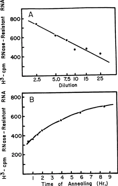 TABLE 2. Effect of annealinig onribonuclease-resistant RNAG