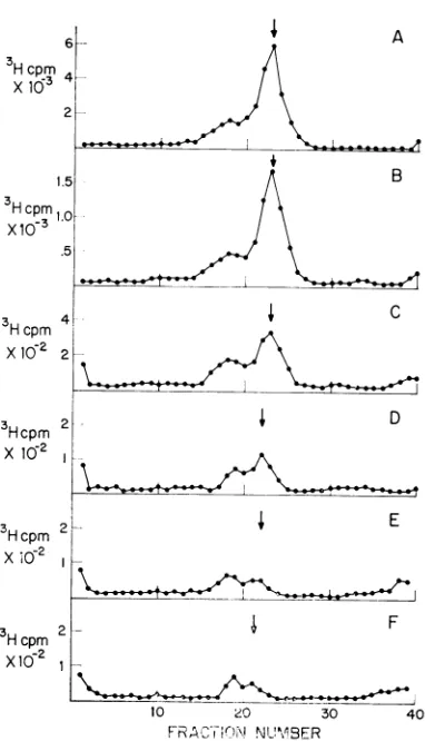 TABLE 1. Inhibitioncycloheximide