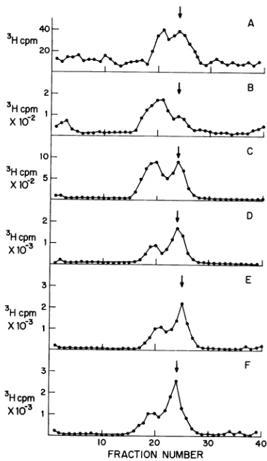 Table 2hibitiondemonstrate presents the results of experiments that the reversal of cycloheximide of viral DNAsynthesis