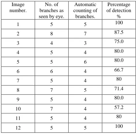 Table 1. Automatic branches detecting and counting algorithm output. 
