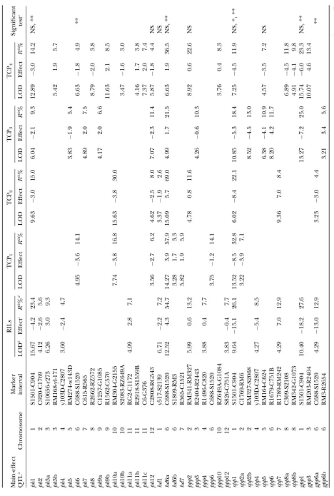 TABLE 4