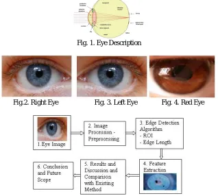 Fig. 1. Eye Description  
