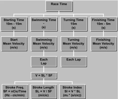 Figure  1:  Technical  components  of  the  swimming  race  time.  Names  and  units  are shown for each race component.