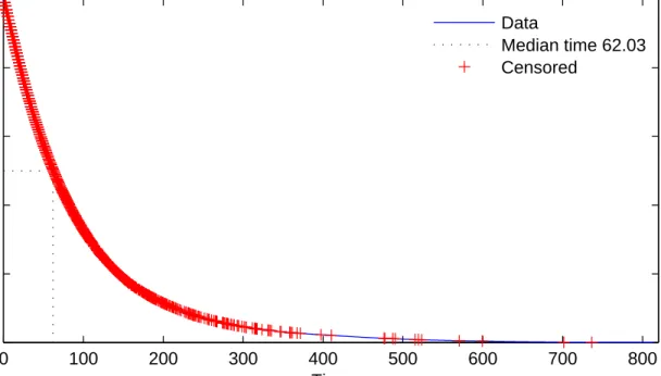 Figure 1: Kaplan–Meier Survival Function
