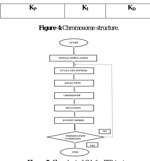Figure 4:Chromosome structure. 