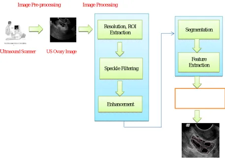 Fig. 1 Ultrasound Image Analysis 