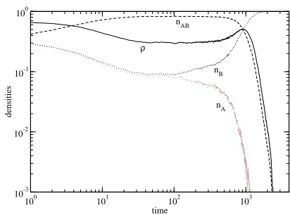 FIG. 3: AB-model. Density of agents in state A, nA (dot-ted gray), in state B, nB (dotted black), in state AB, nAB(dashed); and interface density, ρ (solid line) for a typical re-alization of the AB-model