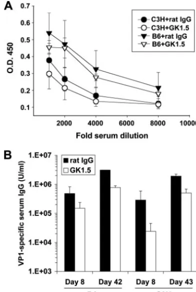 FIG. 3. CD4�PyV-speciﬁc IgG response in both B6 and C3H mice. (A) VP1-speciﬁcserum IgM in MAb GK1.5- or control rat IgG-treated B6 and C3Hmice on day 4 p.i., as determined by ELISA