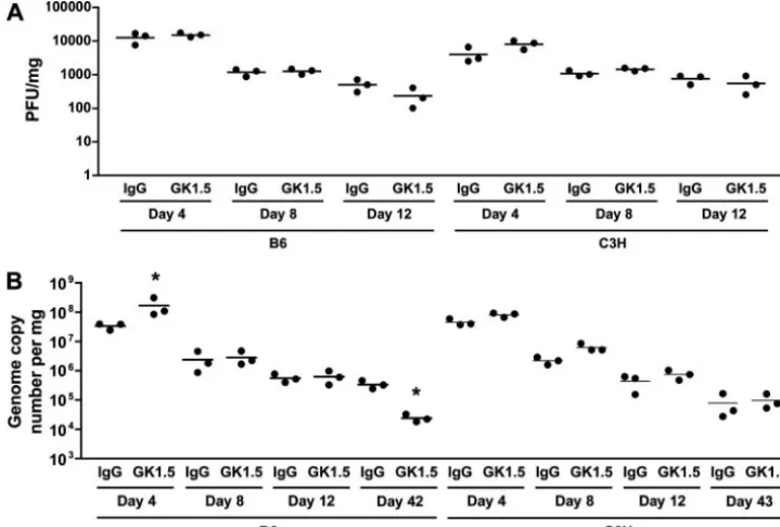 FIG. 4. Comparison of viral clearance in CD4�MAb GK1.5 or control rat IgG were determined at the indicated day p.i