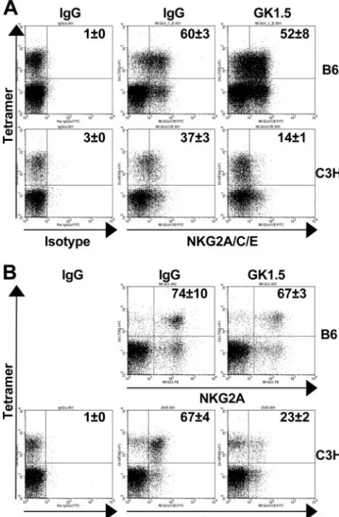 FIG. 5. CD4T cells) are the mean percentages of�tions of the results for three mice), and the data are representative ofof CD94/NKG2A by PyV-speciﬁc CD8was evaluated during the acute (A) (day 7 to 8 p.i.) and persistent(B) (day 42 to 43 p.i.) phases of inf