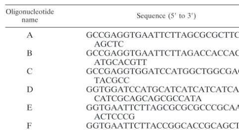TABLE 2. Oligonucleotides used in PCRs to generate UL9mutant constructs