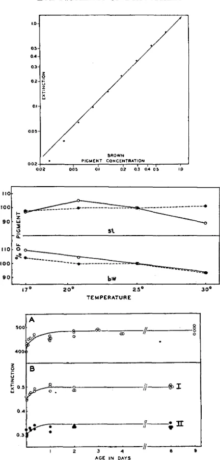 FIGURE I I  frich, frich, of oxidized extracts, curve A of and AMA (above).-Relation between concentration of brown pigment and extinction (Pul- 470 mp)
