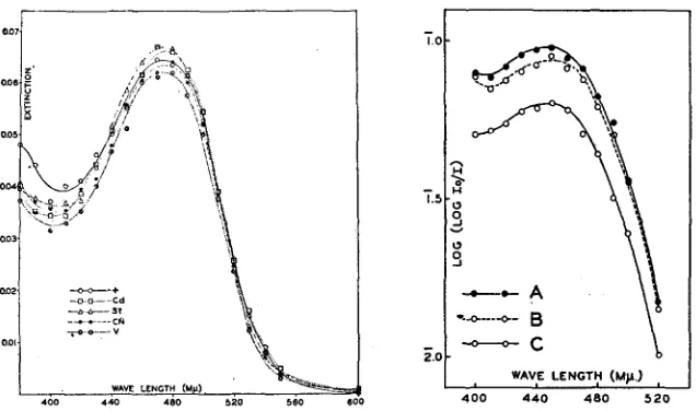 FIGURE 18 of extraction. “double” extraction, B-from wild type, (left).-Absorption curves of red pigment extracted from identical numbers of eyes cd, st, cn, and v 9 9 (Coleman)