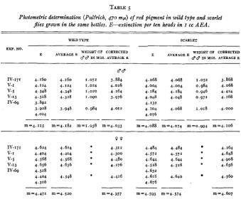 TABLE 5 