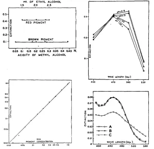 FIGURE 7 treated extract, B-oxidized, C-oxidized five (lower right).-Absorption curve of brown pigment extracted in AMA