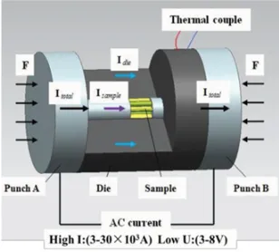 Figure 1. Micro-FAST schematic diagram.