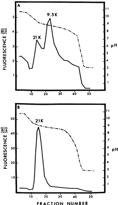 FiG. 5.phagedaltonline)internalused;sucrosesolvedof(2 ml) the Electrofocusing of the internal proteins of T4 in sucrose gradients