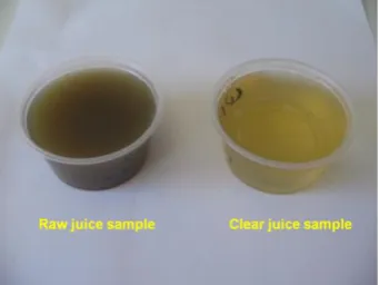 Figure 1. A comparison between raw and clear juice samples. 