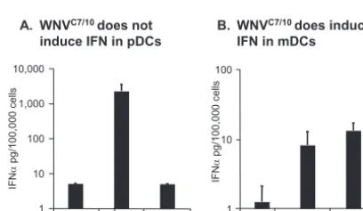 FIG. 4. Infection with WNV or SeV results in IRF3 translocation in mDC. Micrographs of mDC cultures treated with SeV (16 HAU/ml) (A) orWNV (MOI of 100, based on titration on Vero cells) (B) were exposed for the indicated times and then ﬁxed and subjected to indirect