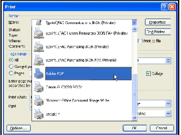 Figure 4: Select ing Adobe PDF printer 