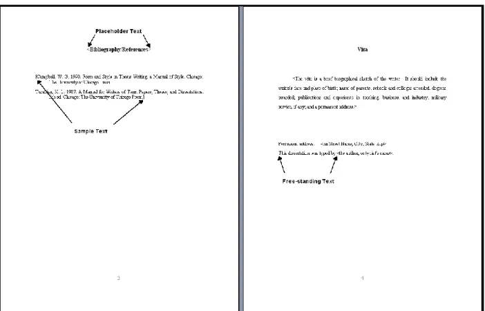 Figure 1: Text Types found in t he Template Files 