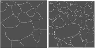 FIGURE 4. Watershed ridge lines, (a) considering only particles as catchment basins (b) both particles and void spaces are catchment basins