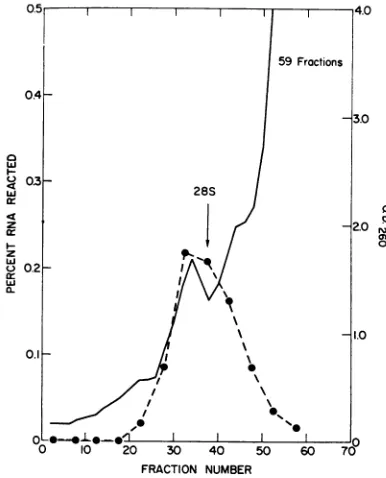 TABLE(SV40)