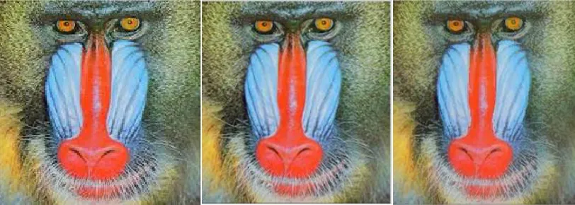 Figure 1: (a) Original Image ‘Lena’; reconstructed image (4×4 block) using (b) BTC, (c) MBTC 