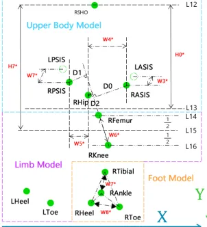 Fig. 2. Sagittal Model (Right Hand