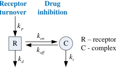 Fig. 1 Schematic description of receptor turnover and irreversible inhibition 