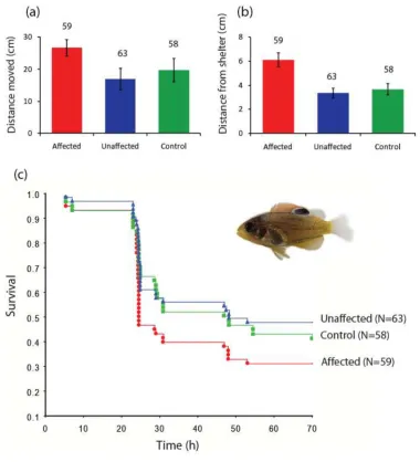 Figure 1.  Selective mortality in coral-reef habitat favours juvenile fish tolerant to elevated CO2