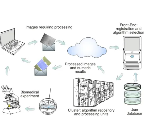 Fig 5 Graphical description of CAIMAN 