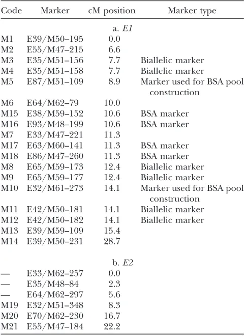 TABLE 2
