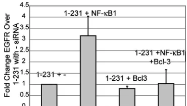 FIG. 6. NF-�expressing vector control or 1-231 were transfected with 100 pmolirrelevant siRNA (Bcl-3 siRNA (Bcl-3), or 50 pmol NF-�sponding sample