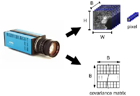 Fig. 1.  ‘On the fly’ covariance for HSI devices. 